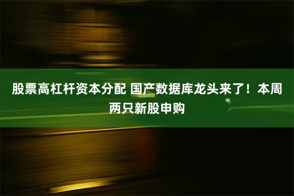 股票高杠杆资本分配 国产数据库龙头来了！本周两只新股申购