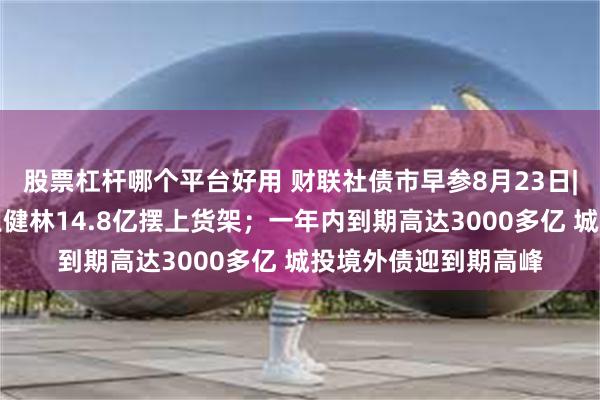 股票杠杆哪个平台好用 财联社债市早参8月23日|杭州第一座万达被王健林14.8亿摆上货架；一年内到期高达3000多亿 城投境外债迎到期高峰