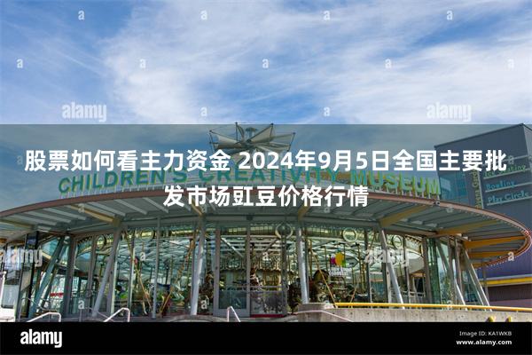 股票如何看主力资金 2024年9月5日全国主要批发市场豇豆价格行情