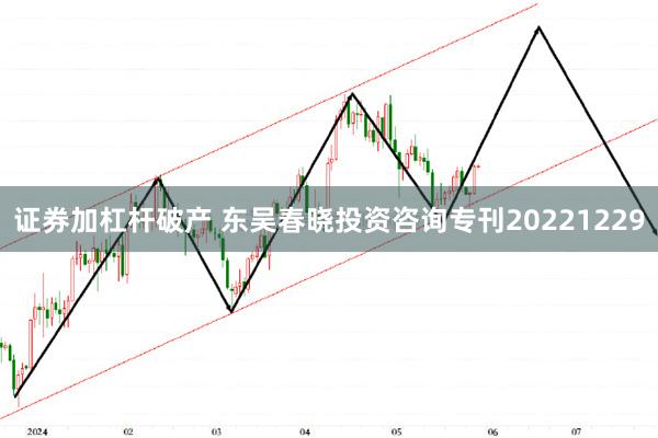 证券加杠杆破产 东吴春晓投资咨询专刊20221229