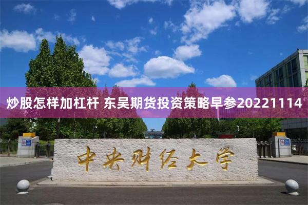 炒股怎样加杠杆 东吴期货投资策略早参20221114