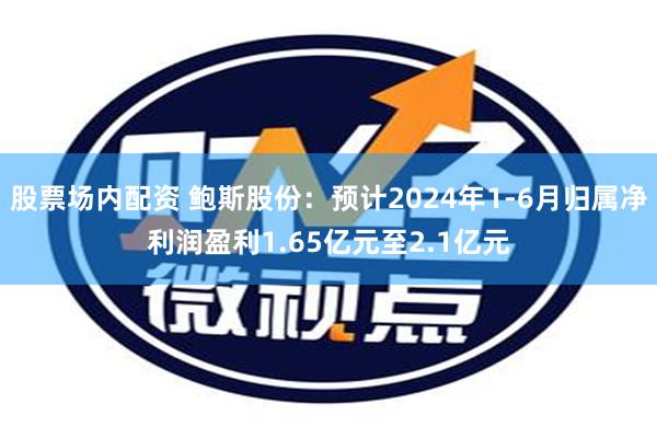 股票场内配资 鲍斯股份：预计2024年1-6月归属净利润盈利1.65亿元至2.1亿元