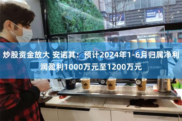 炒股资金放大 安诺其：预计2024年1-6月归属净利润盈利1000万元至1200万元