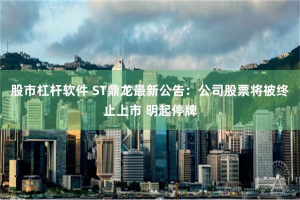 股市杠杆软件 ST鼎龙最新公告：公司股票将被终止上市 明起停牌