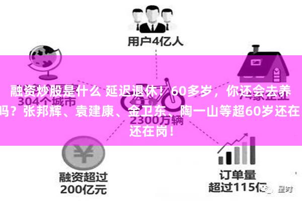 融资炒股是什么 延迟退休！60多岁，你还会去养猪吗？张邦辉、袁建康、金卫东、陶一山等超60岁还在岗！