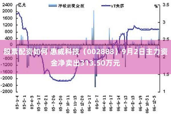 股票配资如何 惠威科技（002888）9月2日主力资金净卖出313.50万元