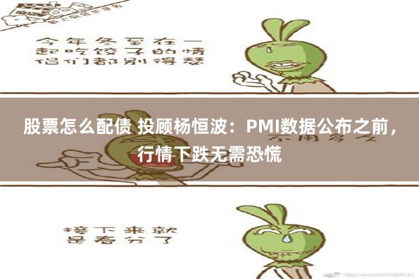 股票怎么配债 投顾杨恒波：PMI数据公布之前，行情下跌无需恐