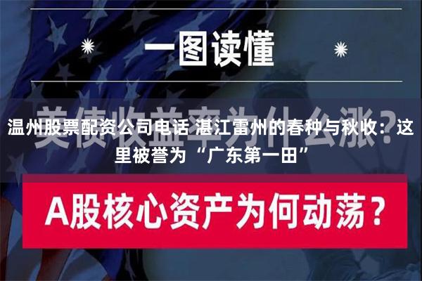 温州股票配资公司电话 湛江雷州的春种与秋收：这里被誉为 “广东第一田”