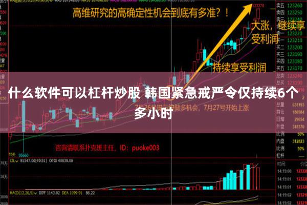 什么软件可以杠杆炒股 韩国紧急戒严令仅持续6个多小时