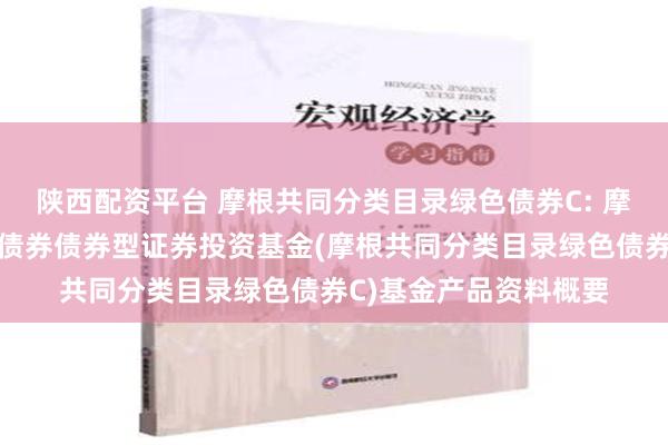 陕西配资平台 摩根共同分类目录绿色债券C: 摩根共同分类目录