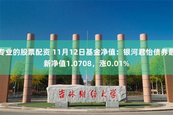 专业的股票配资 11月12日基金净值：银河君怡债券最新净值1