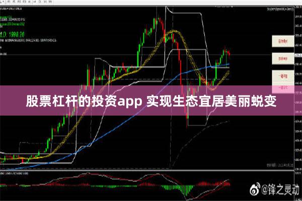 股票杠杆的投资app 实现生态宜居美丽蜕变